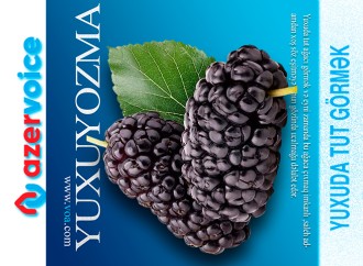 Yuxuda tut görmək necə yozulur?