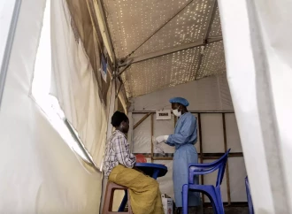 ÜST Afrikada meymun çiçəyini dayandırmaq üçün 135 milyon dollarlıq layihə hazırlayıb