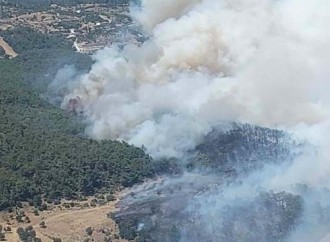 İzmirdə meşə yanğını baş verib